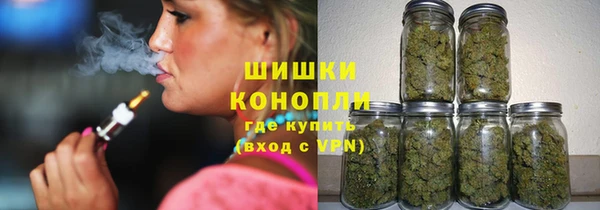первитин Богданович