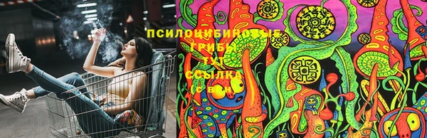 первитин Богданович