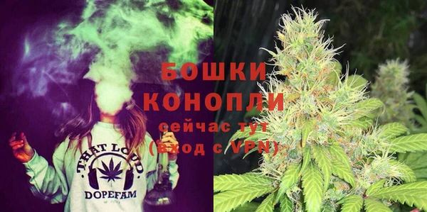 дмт Богородск