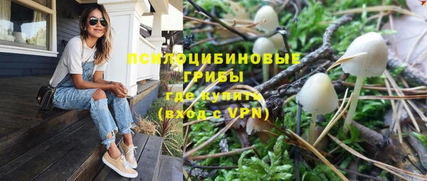 первитин Богданович