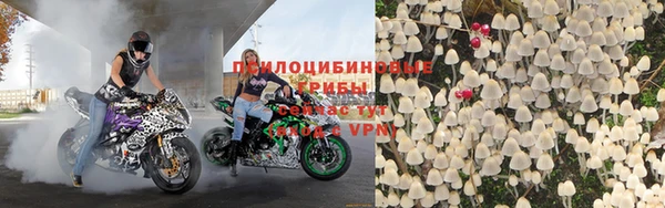 дмт Богородск